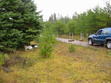 Evergreen Drive-In Theatre - Entrance With Poles (newer photo)